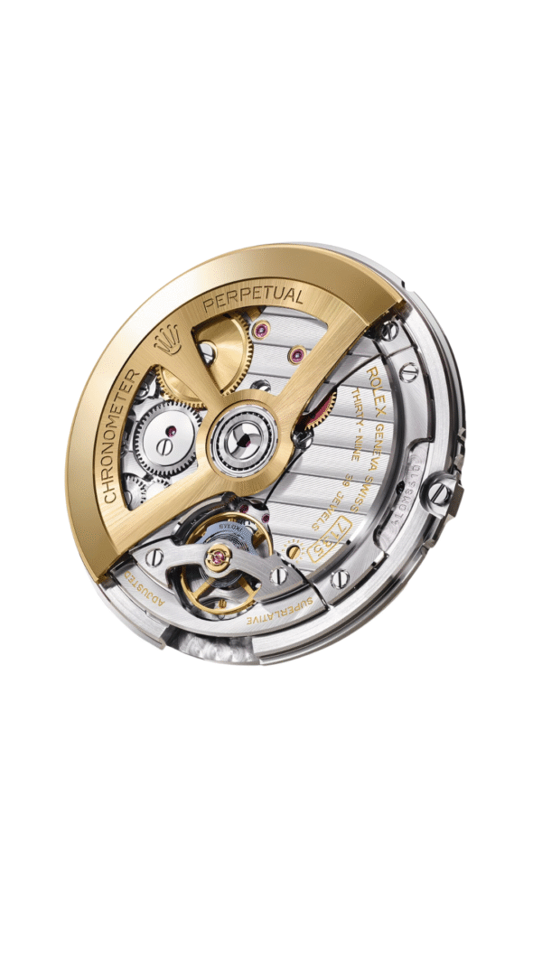 Rolex Land Dweller 36mm - Imagen 2