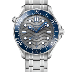 Omega Seamaster Diver 300M Gray Steel on Steel- 210.30.42.20.06.001